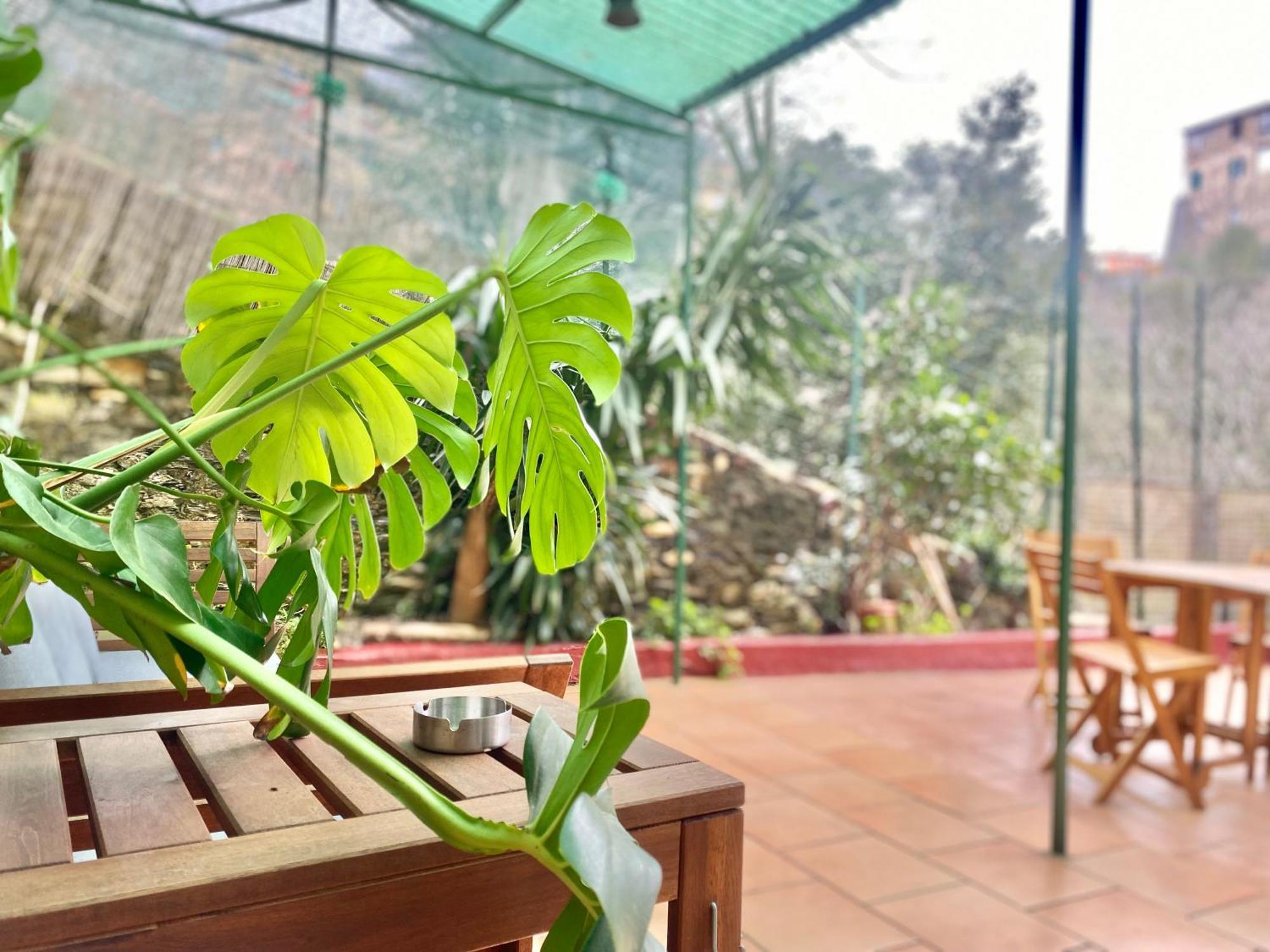 Casaviva - Bilo With Patio In Genova San Teodoro Apartman Kültér fotó